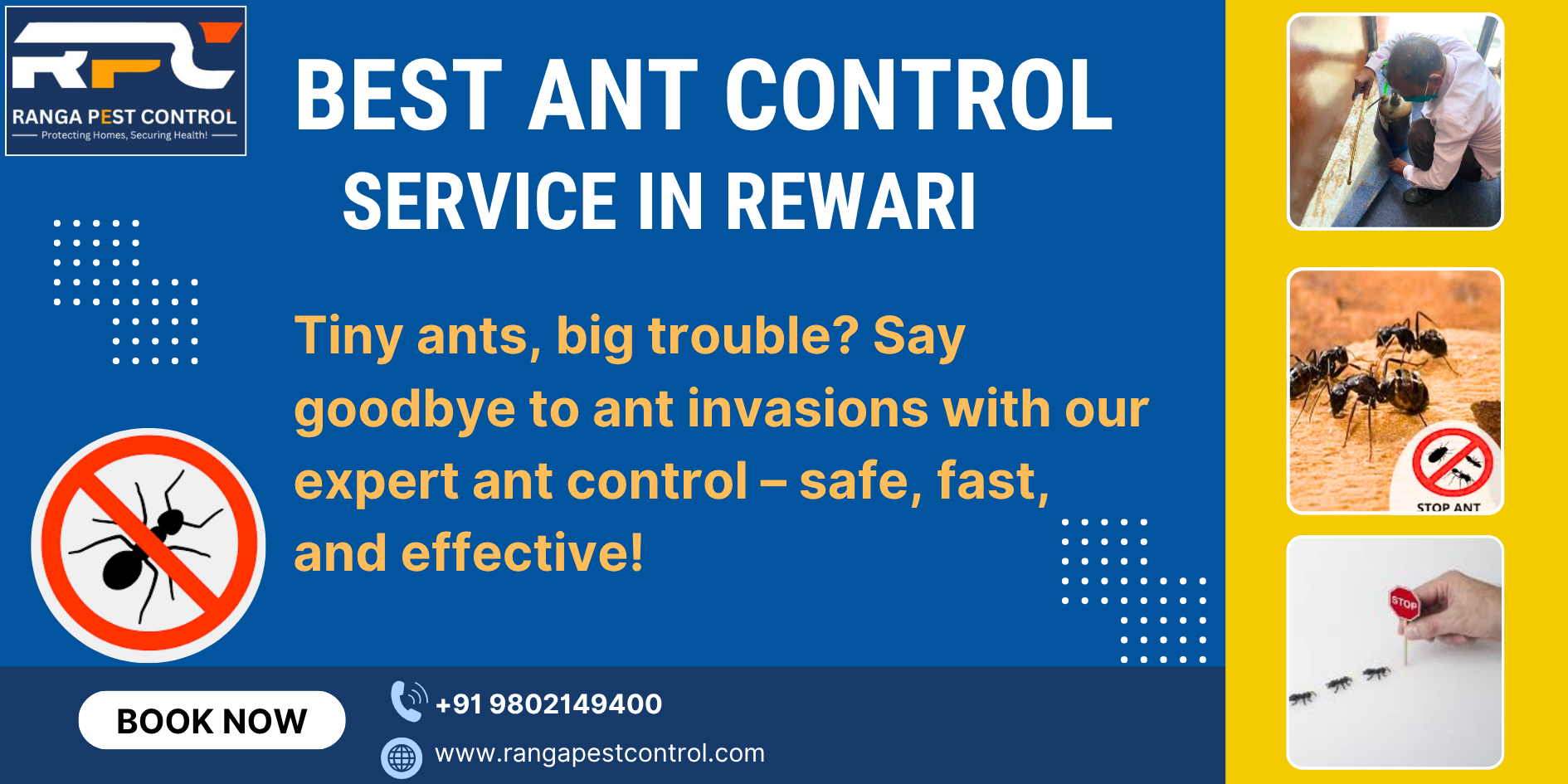 Best Ant Control in Rewari