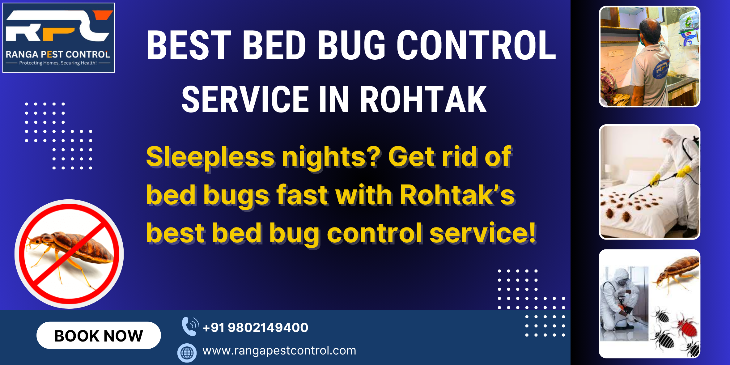 Best Bed Bugs Control Service in Rohtak