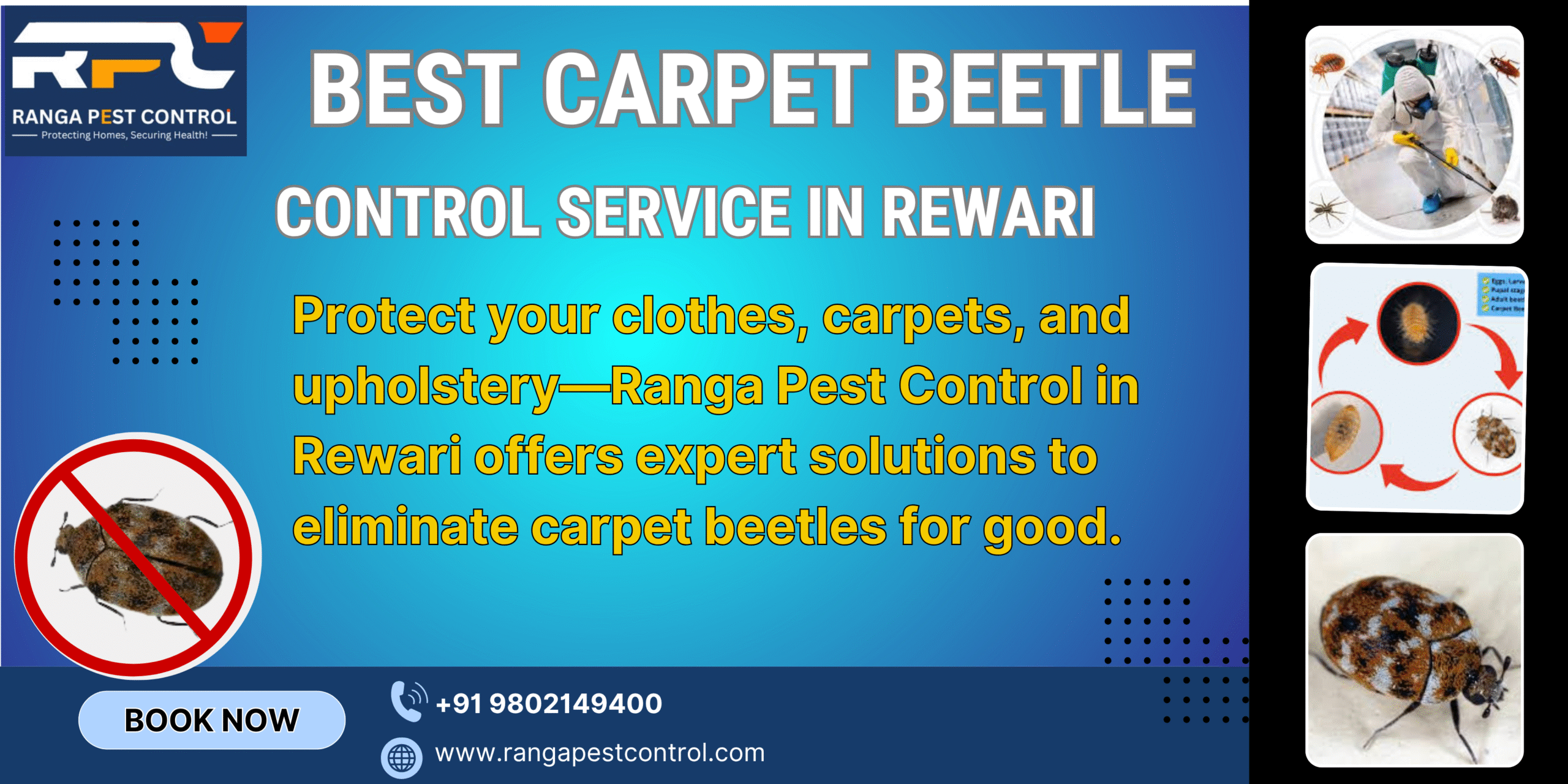Best Carpet Beetle Control in Rewari