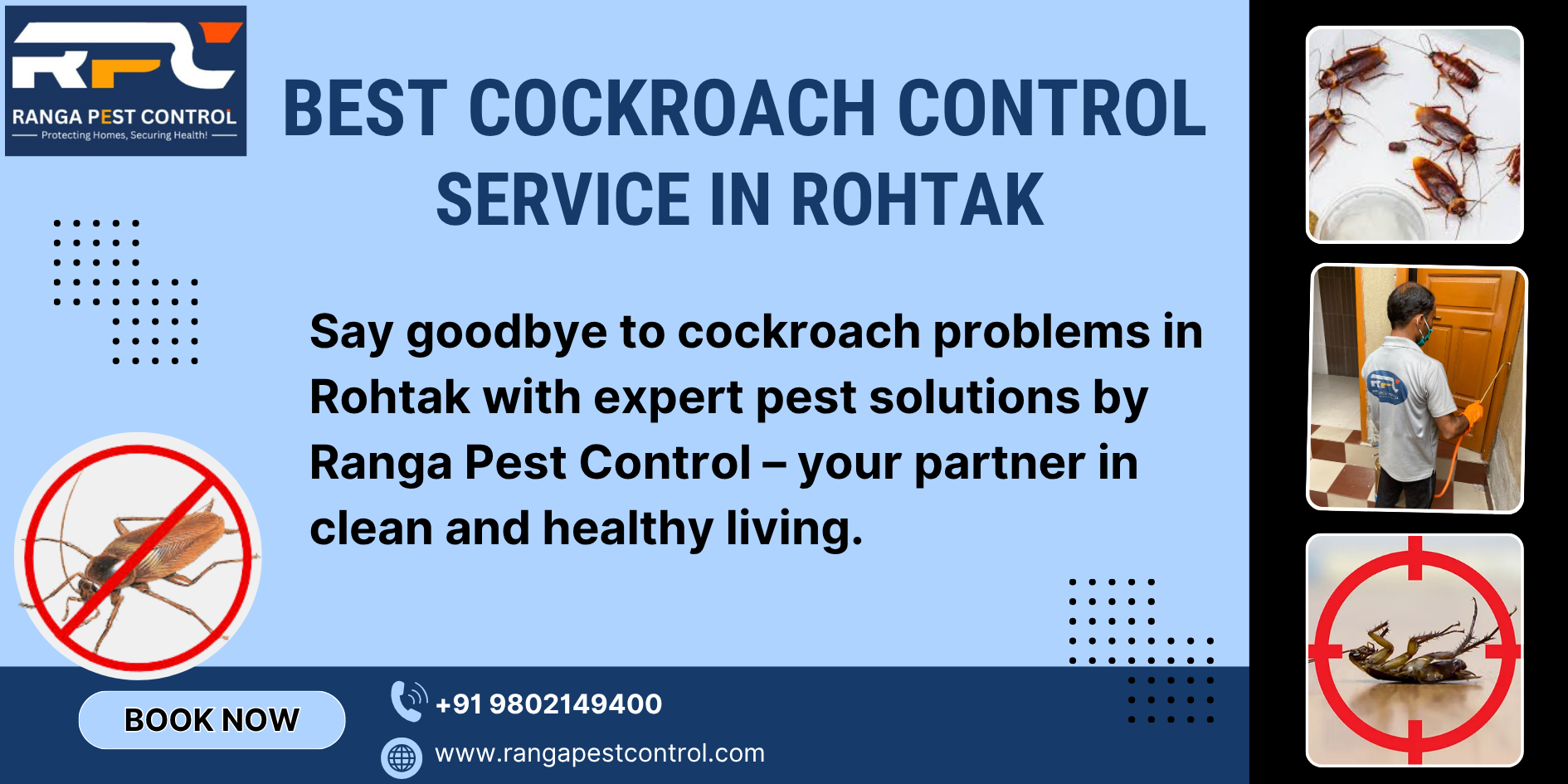 Cockroach Control in Rohtak