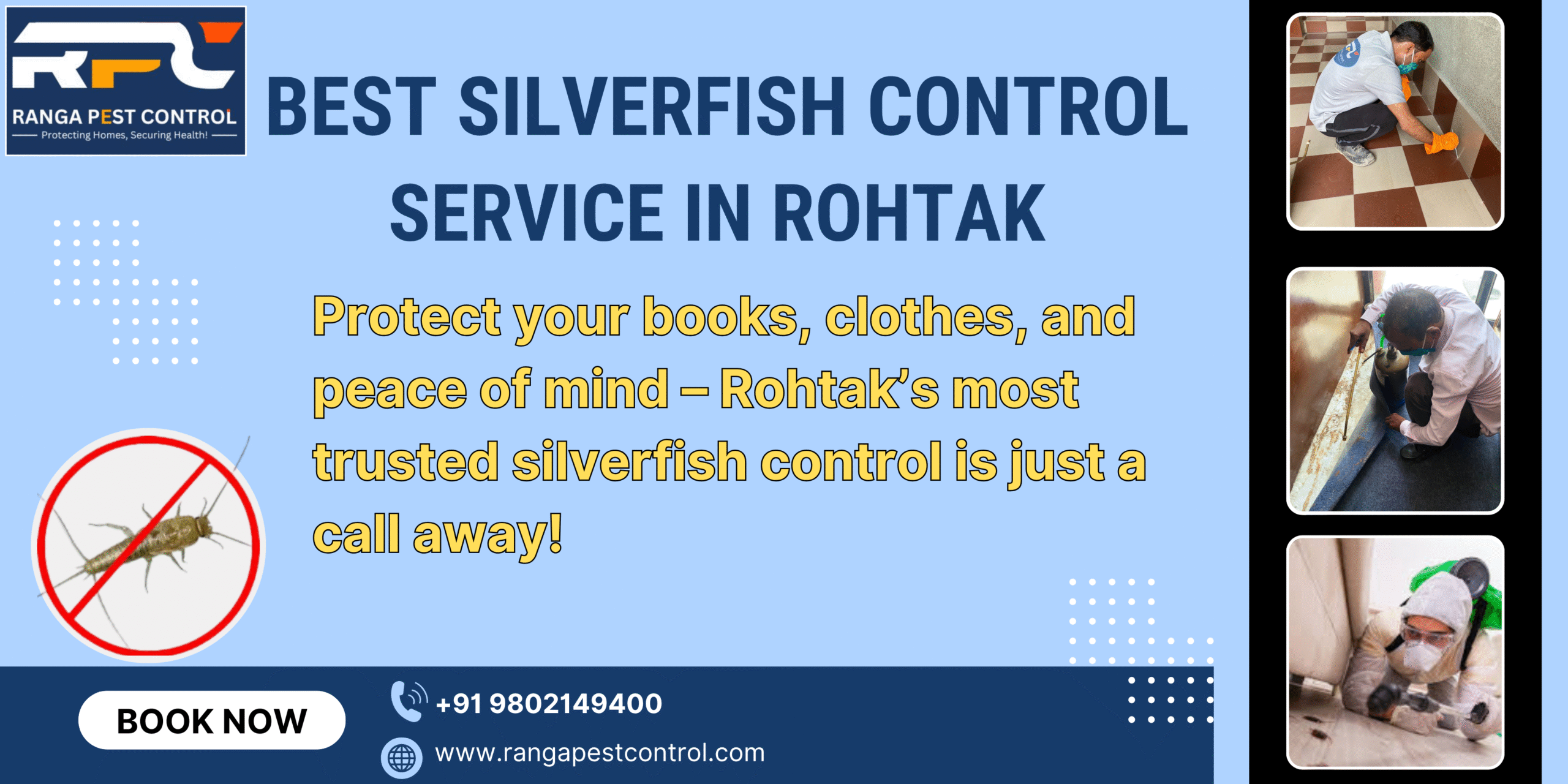 Best Silverfish Control in Rohtak