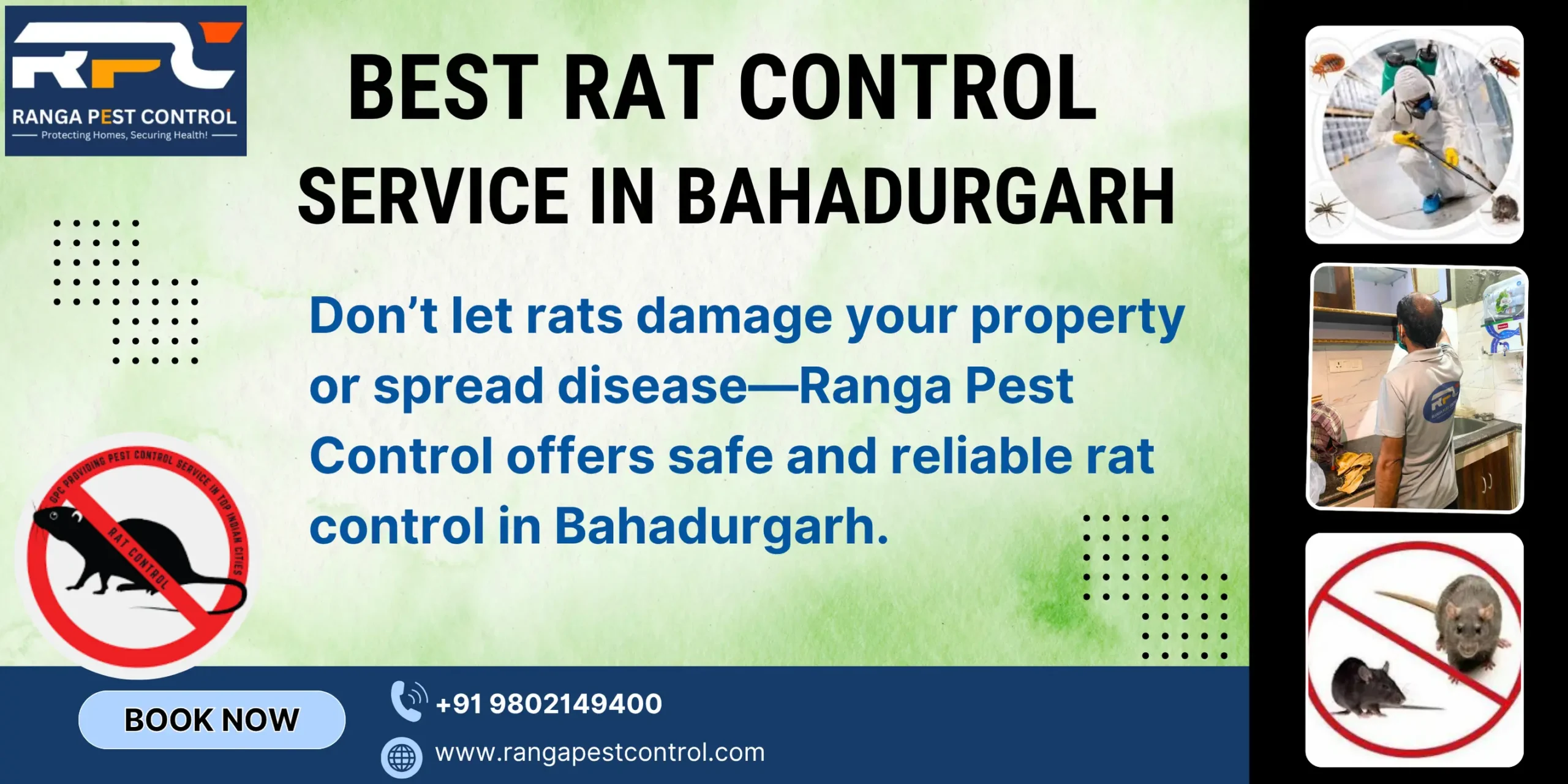 Best Rat Control Service in Bahadurgarh