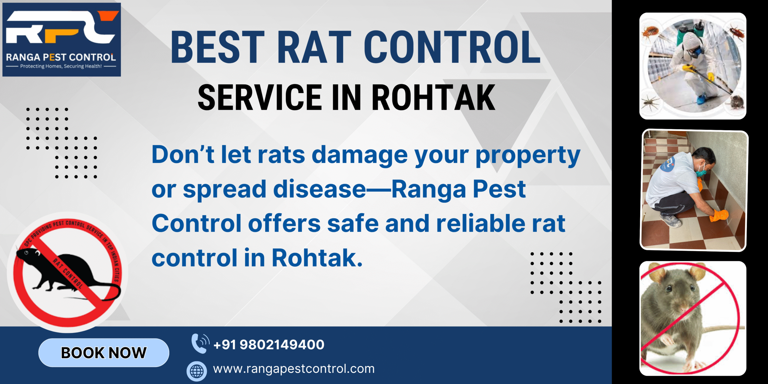 Best Rat Control Service in Rohtak