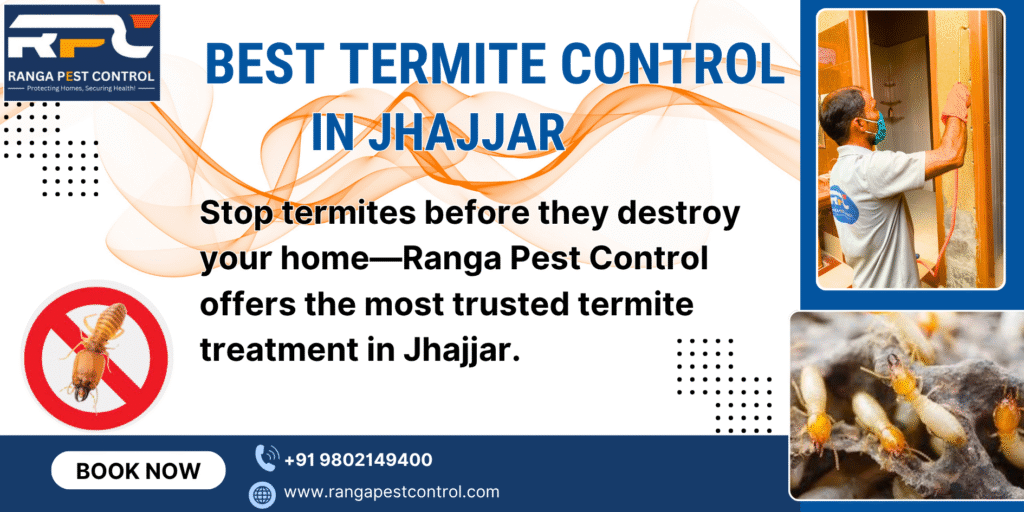 Best Termite Control in Jhajjar