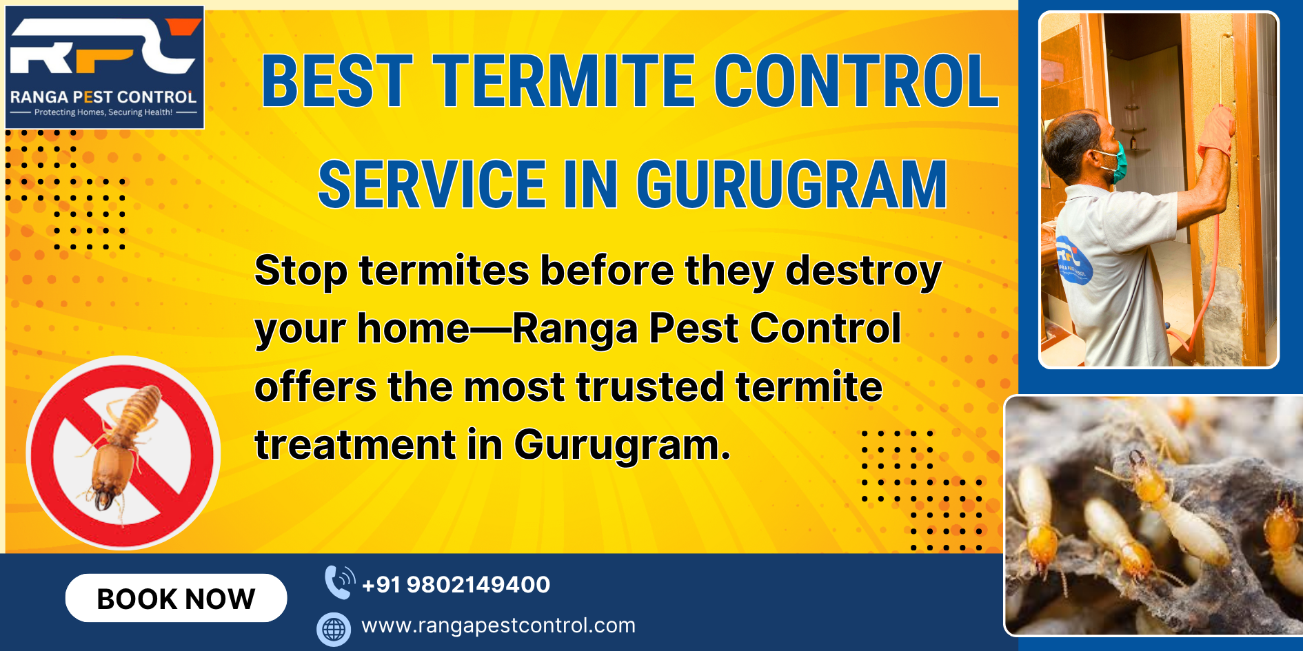 Termite Control Service in Gurugram