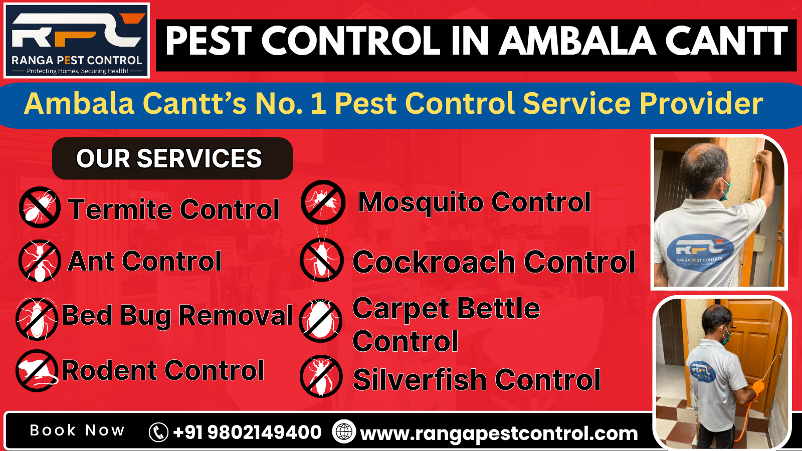 Pest Control in Ambala Cantt