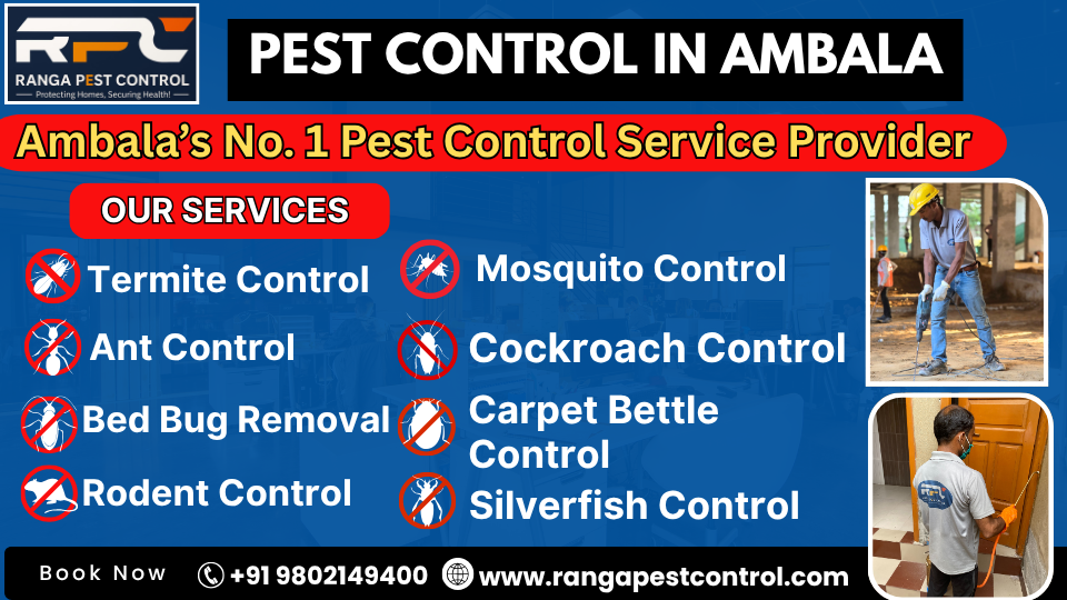 Pest Control in Ambala