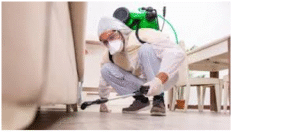No-1 Pest Control in Thandla